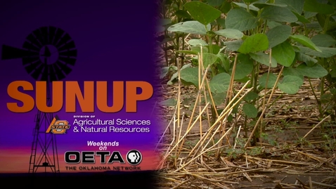 Thumbnail for SUNUP: Oklahoma Irrigation