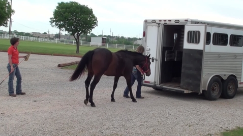 Thumbnail for Tips for Loading Your Horse