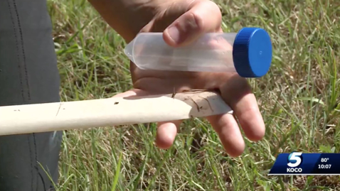 Thumbnail for entry IN THE NEWS:  OSU Researcher Tracking Tick Movements