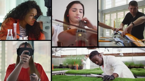 Thumbnail for Orange is the Answer