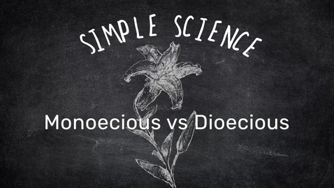 Thumbnail for entry Simple Science: Monoecious vs Dioecious Plants