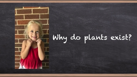 Thumbnail for entry Why Do Plants Exist?