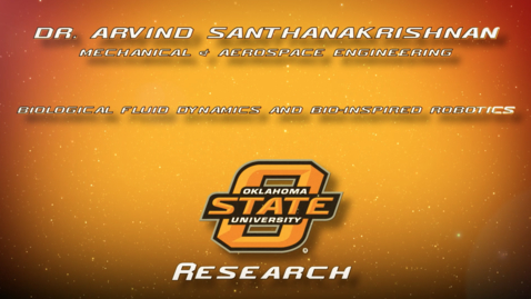 Thumbnail for  Bio-inspired unmanned vehicle research