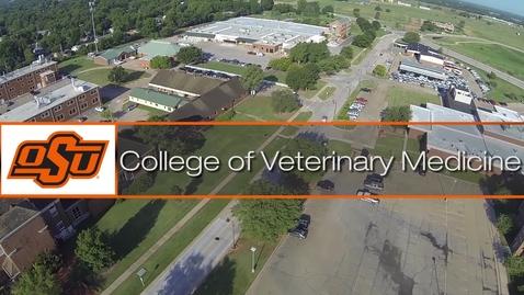 Thumbnail for entry Magic in Veterinary Medicine