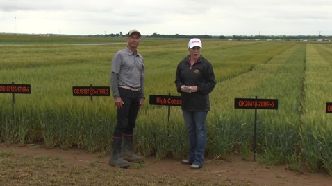 Thumbnail for entry Lahoma 2023 Wheat Variety Showcase with Brett Carver