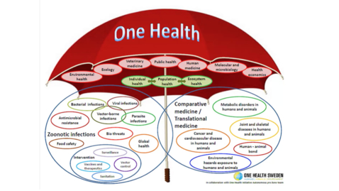 Thumbnail for One Health with Stephen Ettinger, DVM, DACVIM (SAIM and Cardio)