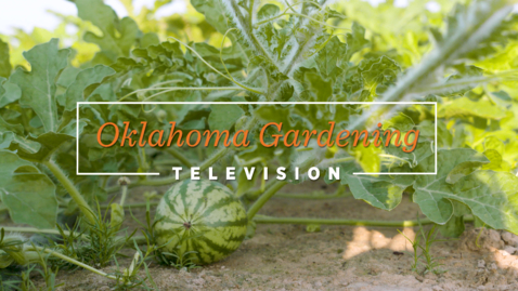 Thumbnail for entry Backyard Gardens on the Best of Oklahoma Gardening January 21, 2023