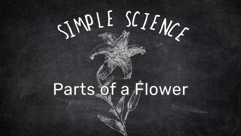 Thumbnail for entry Simple Science: Parts of a Flower