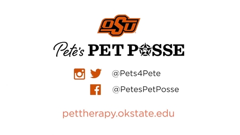 Thumbnail for entry Pete's Pet Posse Offers Advice for Finals Week