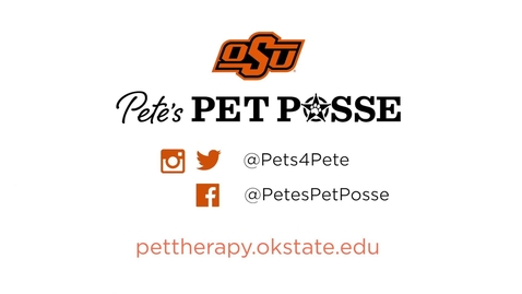 Thumbnail for Pete's Pet Posse Offers Advice for Finals Week