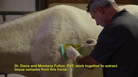 Thumbnail for Equine Sports Medicine &amp; Rehab with Dr. Michael Davis