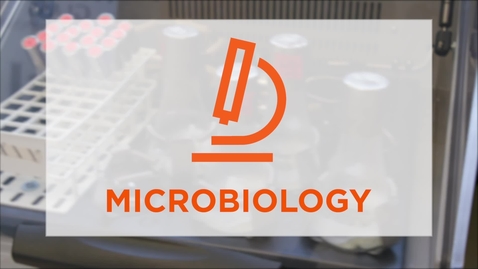 Thumbnail for entry CAS Major Profile: Microbiology