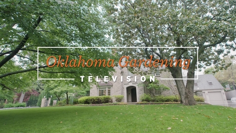 Thumbnail for entry Mahan Home Garden on the Tulsa Garden Club's 72nd Tour