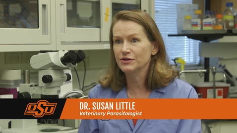 Thumbnail for entry Vet Med Faces of Research: Dr. Susan Little