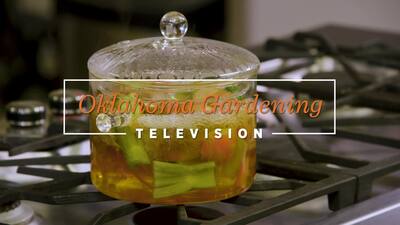 <div class="content"><div>Casey introduces us to the newest member of the Oklahoma Gardening family, Assistant Extension Specialist, Christi Evans, as she demonstrates how you can use vegetable scraps to make a broth.
<br><br>#5041<span>
<br>Airdate (04/06/2024)
<br>Questions? <br>To find out more information about show topics as well as recipes, articles, videos, fact sheets and other resources, including the directory of local Extension offices, be sure to visit our website. <br><a target="_blank" rel="nofollow noopener noreferrer" href="http://oklahomagardening.okstate.edu/">http://oklahomagardening.okstate.edu/</a><br> </span><br><span>You can also find us on: <br>Facebook: <a target="_blank" rel="nofollow noopener noreferrer" href="https://www.facebook.com/oklahomagardening/">https://www.facebook.com/oklahomagardening/</a>
<br>Instagram: <a target="_blank" rel="nofollow noopener noreferrer" href="https://www.instagram.com/oklahomagardening/">https://www.instagram.com/oklahomagardening/</a>
<br><br>Oklahoma Gardening is a production of the Division of Agricultural Sciences and Natural Resources at Oklahoma State University and is produced by the Department of Horticulture and Landscape Architecture and Agricultural Communications Services. <br>All products featured on this program are for demonstration purposes only. <br>No commercial endorsement is intended.</span><br></div></div>