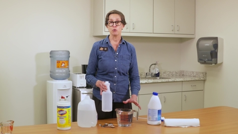 Thumbnail for Do It Yourself Bleach Sanitizer Solution