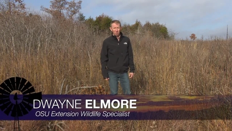 Thumbnail for entry Naturally Speaking - Quail Habitats