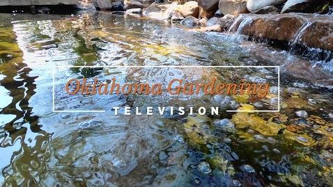 Thumbnail for entry Oklahoma Gardening Water Garden Contest