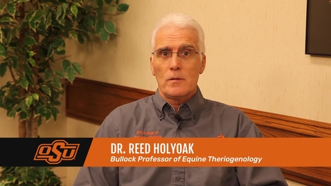 Thumbnail for Vet Med Faces of Research: Dr. Reed Holyoak