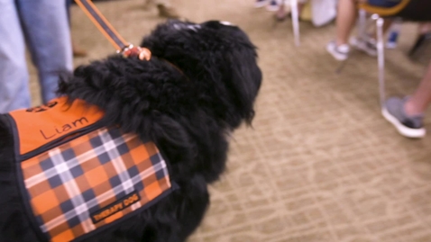 Thumbnail for New Look for Pete's Pet Posse