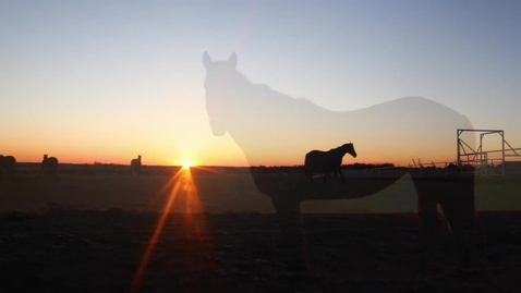 Thumbnail for Oklahoma CVM Ranch Bringing Miracles to Life