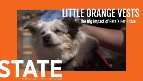 Thumbnail for Little Orange Vests; The Big Impact of Pete's Pet Posse