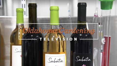 Thumbnail for entry Winemaking with Sabatia Winery