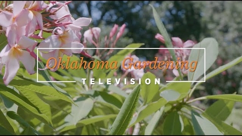 Thumbnail for entry Oklahoma Gardening September 16, 2023
