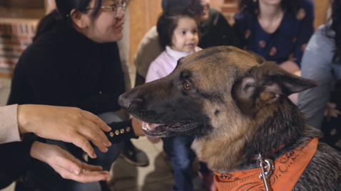 Thumbnail for Pete's Pet Posse:  Impacting OSU's International Community