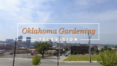 Thumbnail for entry Oklahoma Gardening July 15, 2023