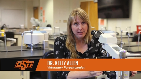 Thumbnail for entry Vet Med Faces of Research: Dr. Kelly Allen