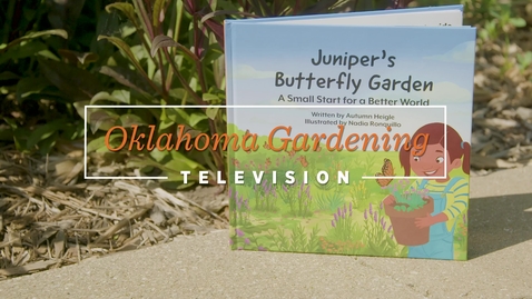 Thumbnail for entry OKC Zoo Juniper's Butterfly Garden