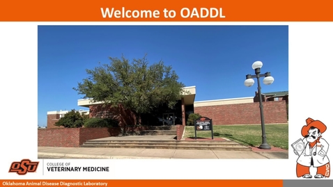 Thumbnail for OADDL 2020 Annual Update