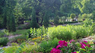 The Botanic Garden in Stillwater is a breathtaking oasis that showcases the beauty and diversity of plant life. Located just west of the Oklahoma State University campus, the garden spans over 100 acres and offers a captivating experience for visitors of all ages.