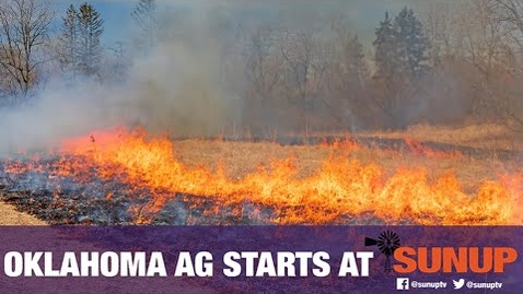 Thumbnail for Wildfire Preparation in the Dry Season (10/24/20)