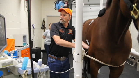 Thumbnail for entry Equine Sports Medicine at Oklahoma State University