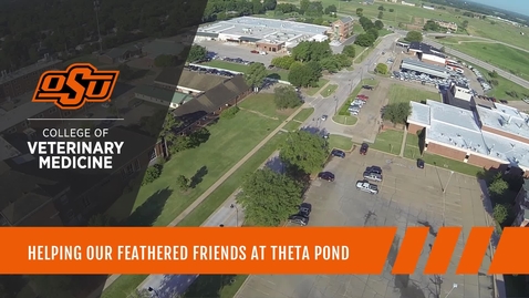Thumbnail for Helping Our Feathered Friends at Theta Pond