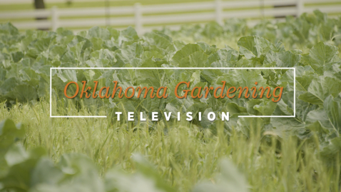 Thumbnail for entry Oklahoma Gardening June 3, 2023