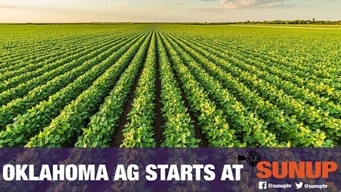 Thumbnail for entry Important Changes to Dicamba Usage (6/20/20)