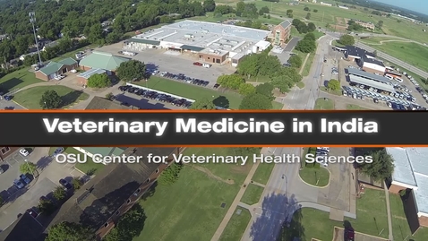 Thumbnail for entry Veterinary Medicine in India