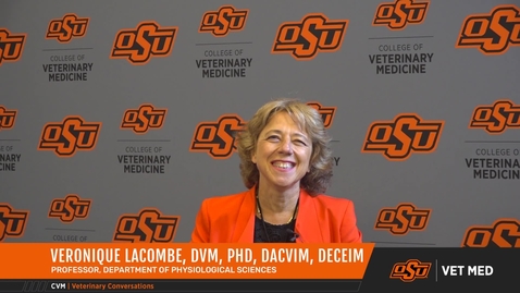 Thumbnail for Vet Med Faces of Research: Dr. Veronique Lacombe