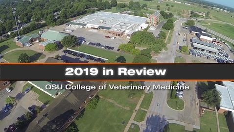 Thumbnail for 2019 in Review