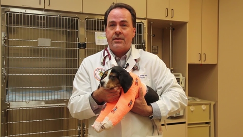 Thumbnail for Milo: Making Progress on the Road to Recovery