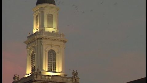 Thumbnail for History of Pistol Pete - OSU Homecoming