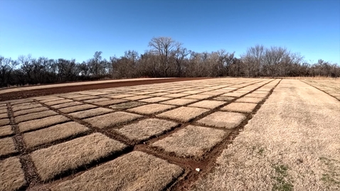 Thumbnail for OSU Turfgrass Going to the SuperBowl