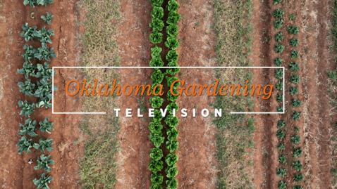 Thumbnail for entry Oklahoma Gardening April 27, 2024