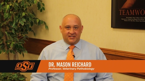 Thumbnail for Reichard Named 2019 Regents Distinguished Teacher