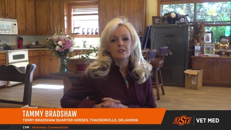 Thumbnail for OSU Veterinarians Treat a Show Horse for Terry Bradshaw