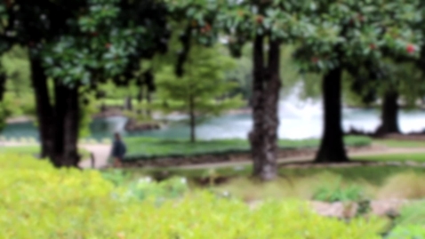 Thumbnail for Sights and Sounds of Theta Pond