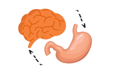 Thumbnail for The Mind/Gut Connection